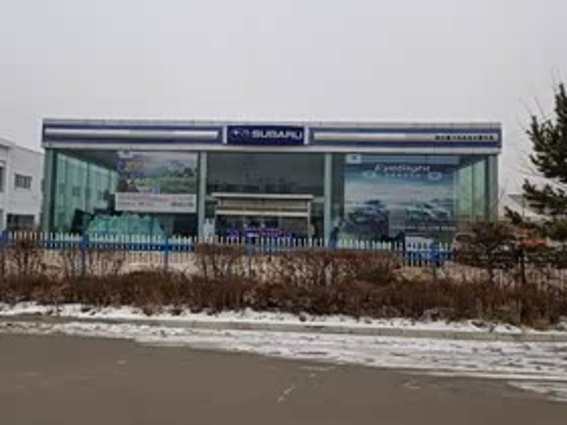 延边汽车市场风向标:购车趋势与策略探讨
